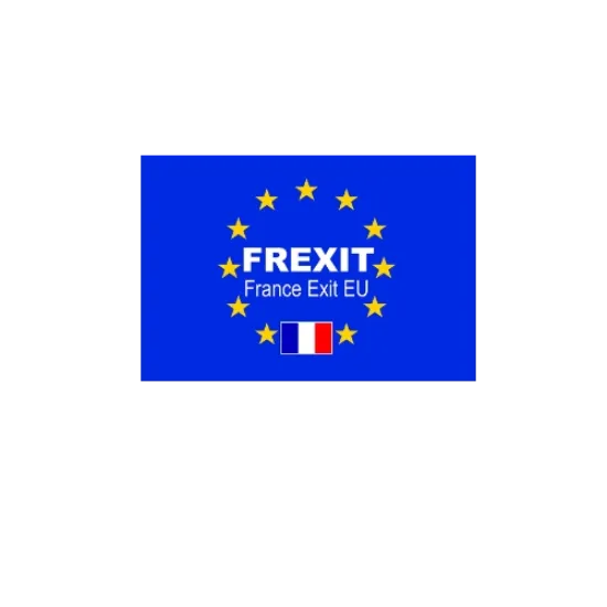Image de Autocollant rectangle frexit 7 cm