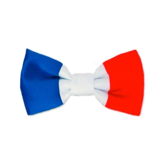 Image de Noeud papillon tricolore